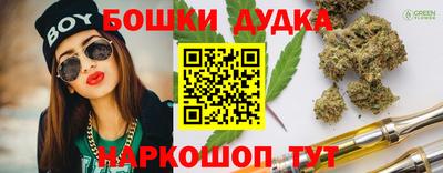 мяу мяу мука Кингисепп